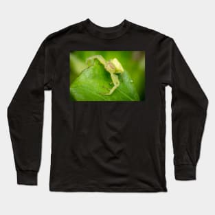 A masked crab spider (Thomisidae) waiting for a prey Long Sleeve T-Shirt